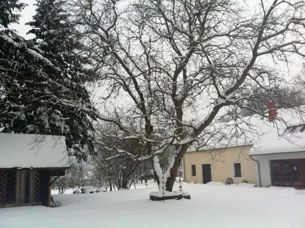 Veverčí Dvůr Rosec Exterior foto