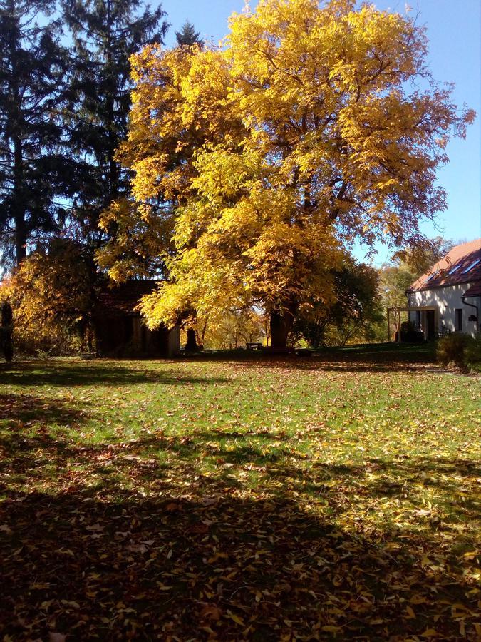 Veverčí Dvůr Rosec Exterior foto